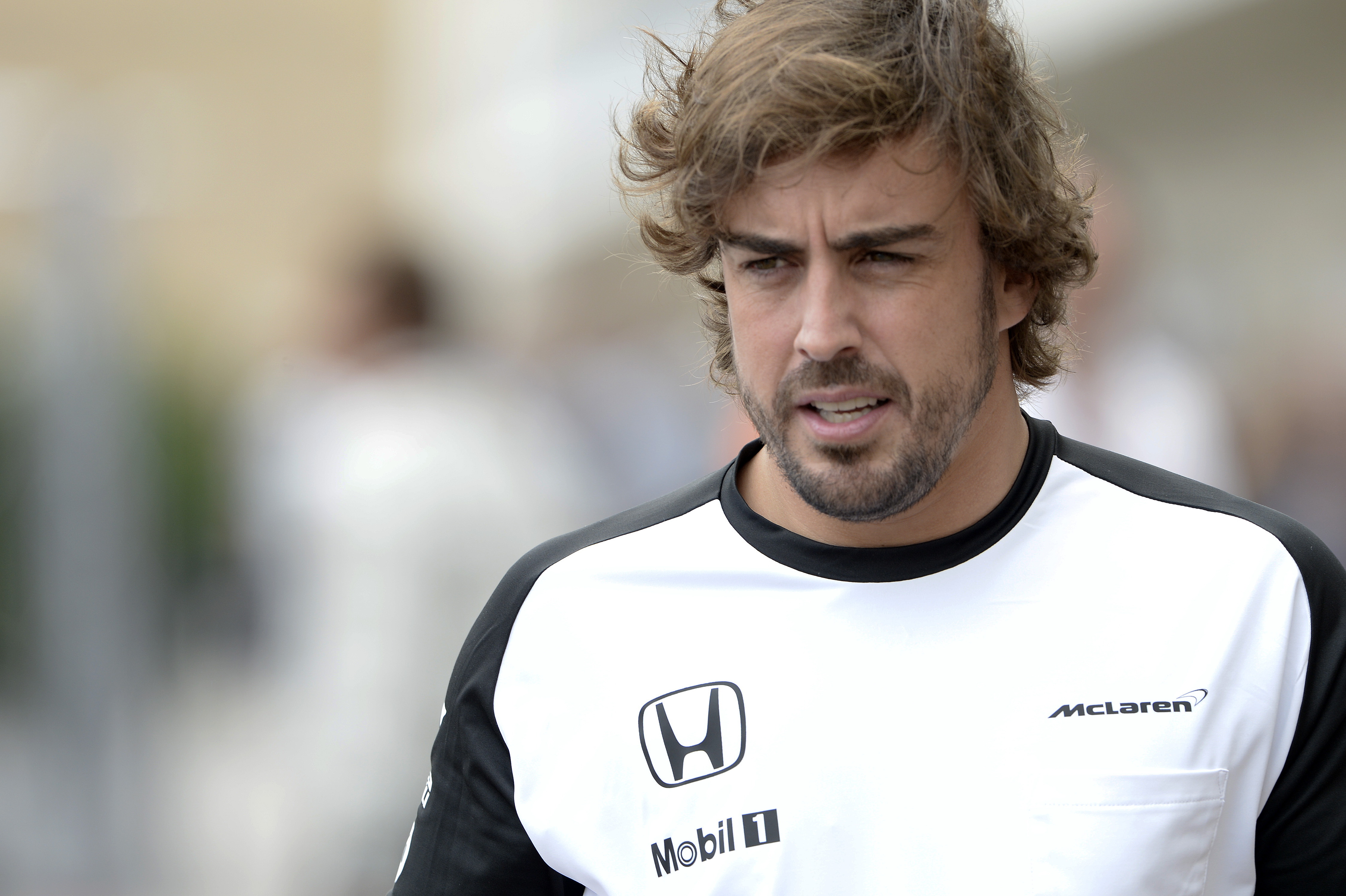 F1 2015 USA Grand Prix Gallery Federation Internationale de l