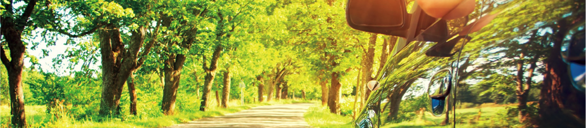 FIA, Action for environment, Road, Mobility, ASN