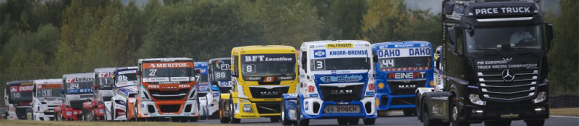 FIA, Motorsport, Mobility, Road Safety, F1, WRC, WEC, WTCC, World RX