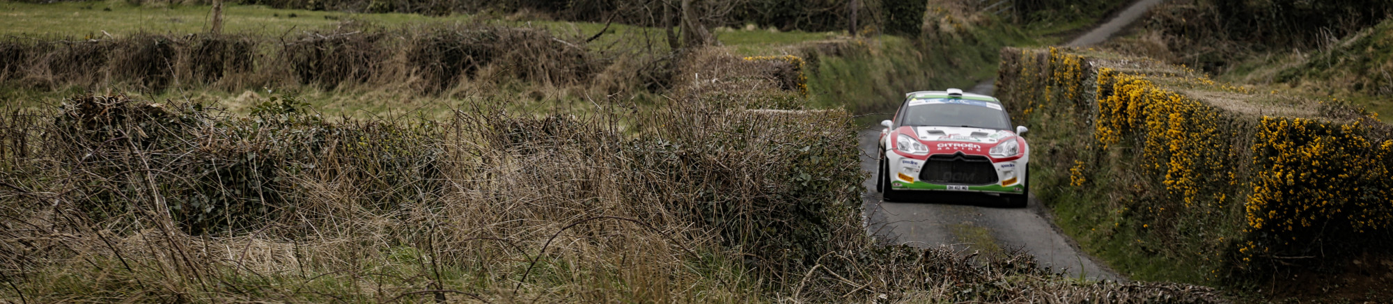 ireland_rally.jpg ireland_rally.jpg