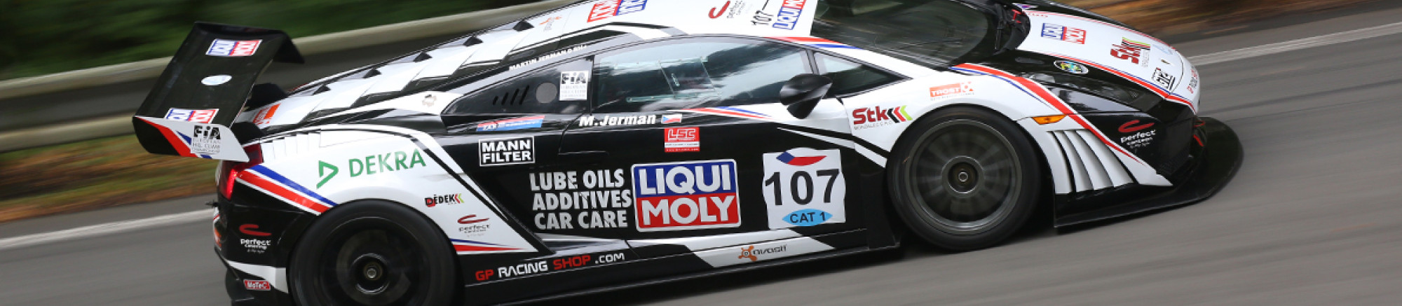 FIA, Motorsport, Mobility, Road Safety, F1, WRC, WEC, WTCC, World RX