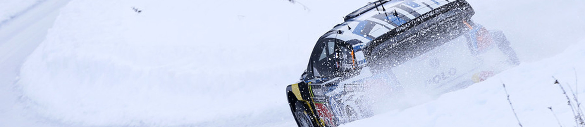 Polo WRC 2015