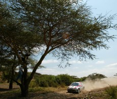 2002 WRC - Safari Rally Kenya - C. Mcrae/N. Grist, Ford Focus WRC (DPPI/F. Le Floch)
