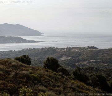 ERC 2014  - Tour de Corse