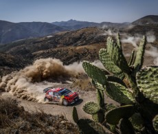 Rally Mexico 2019 - Saturday morning - S. Ogier / J. Ingrassia