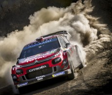 Rally Mexico 2019 - S. Ogier / J. Ingrassia