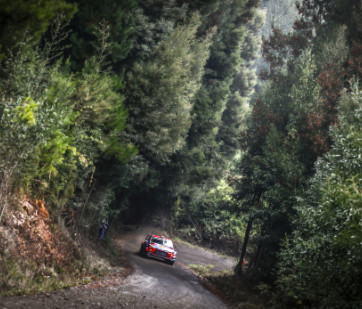 2019 - Rally Chile - Shakedown - A. Mikkelsen / A. Jaeger