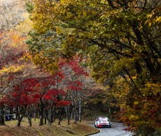 2022 WRC - Rally Japan - E. Evans/S. Martin, Toyota Gazoo Racing (photo: Nikos Katsikis / DPPI)