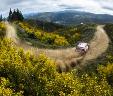 2021 WRC - Rally Portugal - O. Tänak / M. Järveja (Photo Red Bull Content Pool / Jaanus Ree)