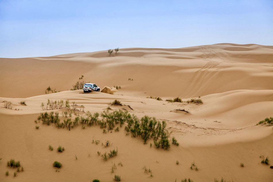 FIA, Cross-country rally, Rally, motor sport