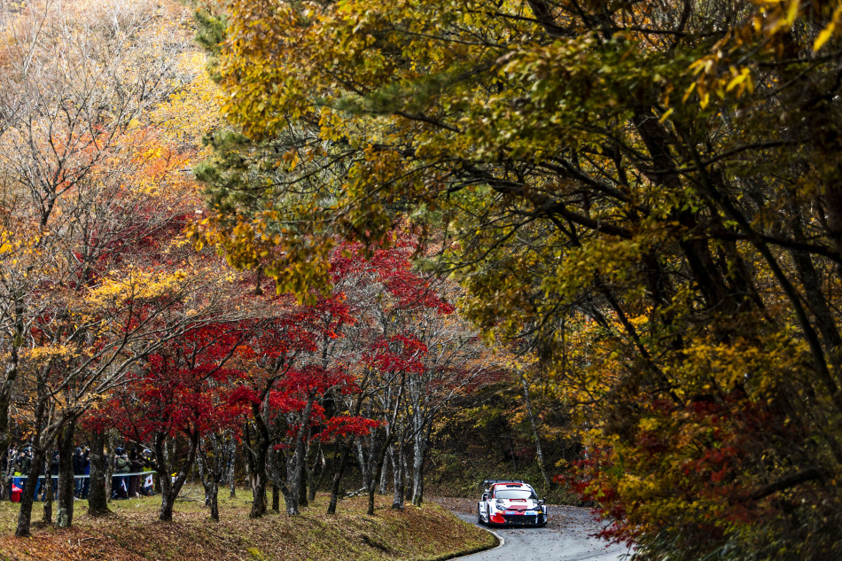 2022 WRC - Rally Japan - E. Evans/S. Martin, Toyota Gazoo Racing (photo: Nikos Katsikis / DPPI)