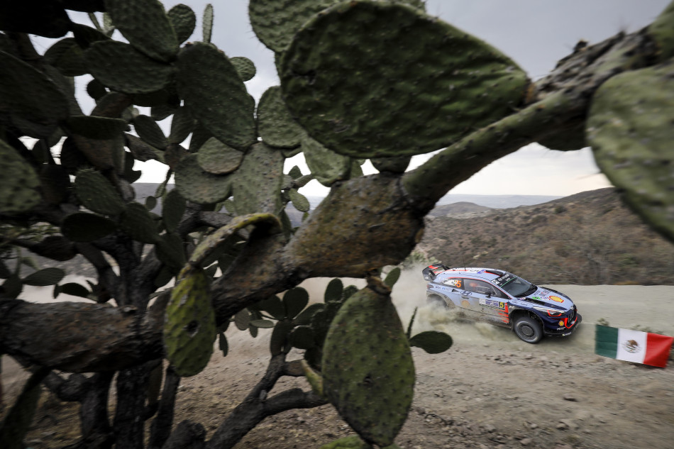 FIA, Motorsport, Mobility, Road Safety, F1, WRC, WEC, WTCC, World RX