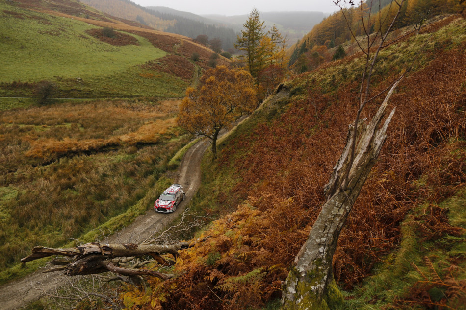 WRC - 2017 Wales Rally GB - Preview