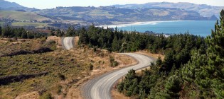 2019 Rally Otago - Kuri Bush road feature