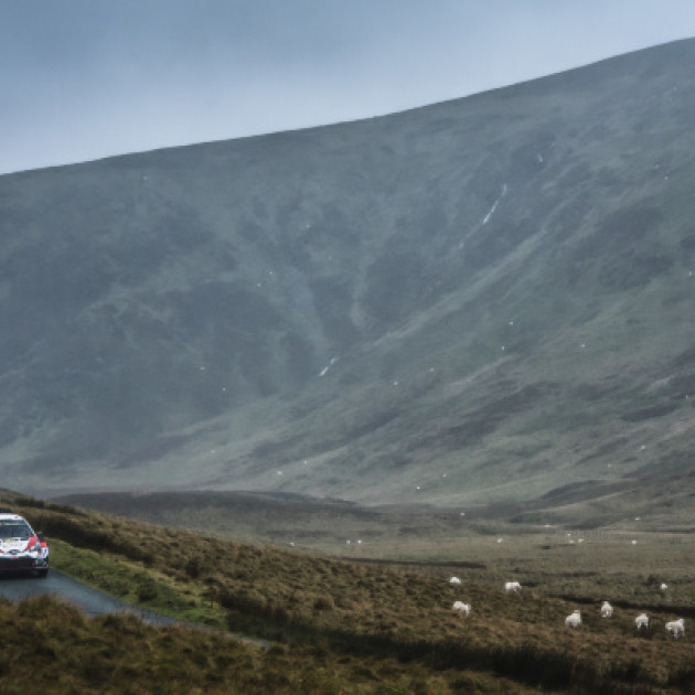 2019 Wales Rally GB - O. Tänak / M. Järveoja