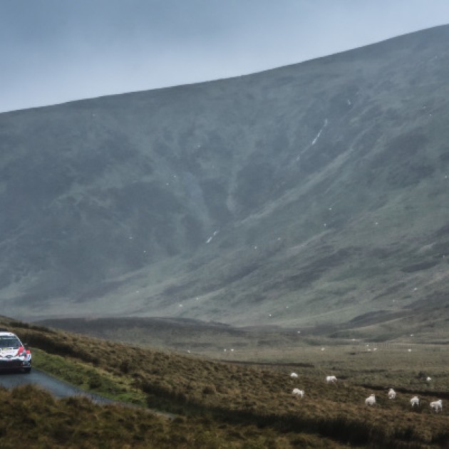 2019 Wales Rally GB - O. Tänak / M. Järveoja