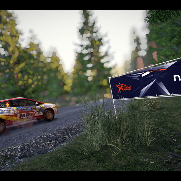 FIA Rally Star DCL on WRC 9