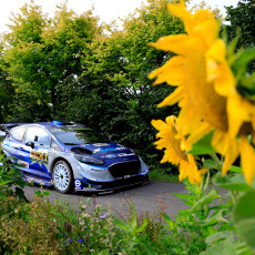 WRC, Rallye Deutschland, FIA, motorsport