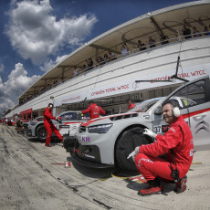 WTCC 2014 - Race of Hungary
