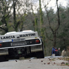FIA, Motorsport, Mobility, Road Safety, F1, WRC, WEC, WTCC, World RX