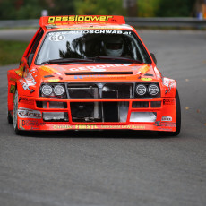 FIA, Motorsport, Mobility, Road Safety, F1, WRC, WEC, WTCC, World RX