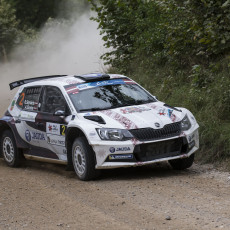 FIA, Motorsport, Mobility, Road Safety, F1, WRC, WEC, WTCC, World RX