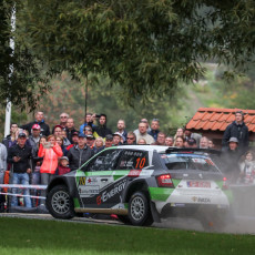 FIA, Motorsport, Mobility, Road Safety, F1, WRC, WEC, WTCC, World RX