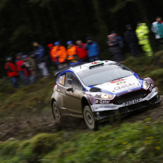WRC 2013 - Wales Rally GB