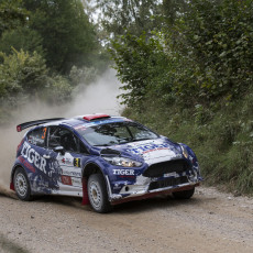 FIA, Motorsport, Mobility, Road Safety, F1, WRC, WEC, WTCC, World RX