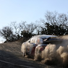 WRC 2013 - Rally Mexico