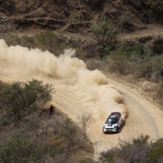WRC 2013 - Rally Mexico