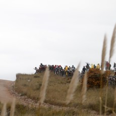 WRC 2012 - Rally Argentina