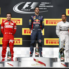 F1 2014 - Hungarian Grand Prix