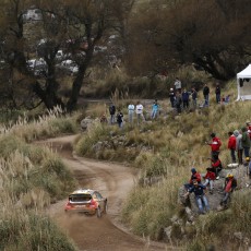 WRC 2014 - Rally Argentina