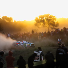2014 Rally de España - Gallery