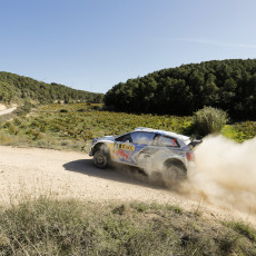 2014 Rally de España - Gallery