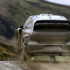 WRC 2014 - Wales Rally GB