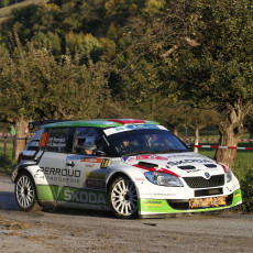 ERC 2014 - Rallye International du Valais