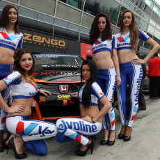 WTCC 2013 - Italy