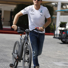 2014 Abu Dhabi Grand Prix - Gallery