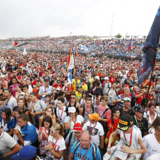 F1 2014 - Hungarian Grand Prix