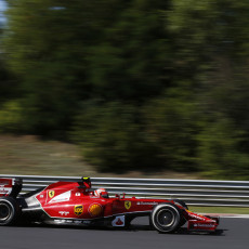 F1 2014 - Hungarian Grand Prix