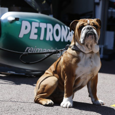 F1 2013 - Monaco Grand Prix