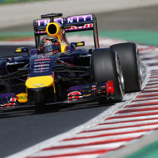F1 2014 - Hungarian Grand Prix