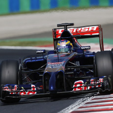 F1 2014 - Hungarian Grand Prix