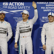 2014 Abu Dhabi Grand Prix - Gallery
