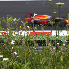 FIA, Motorsport, Mobility, Road Safety, F1, WRC, WEC, WTCC, World RX