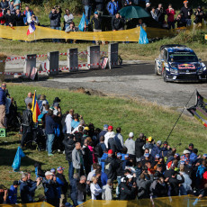 FIA, Motorsport, Mobility, Road Safety, F1, WRC, WEC, WTCC, World RX