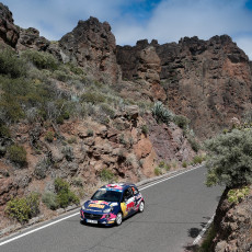 fia, erc, rally islas canarias, motorsport, racing