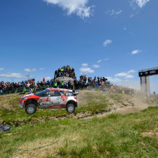 FIA, Motorsport, Mobility, Road Safety, F1, WRC, WEC, WTCC, World RX